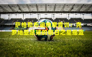  萨格勒布迪纳摩青训：克罗地亚足球的明日之星摇篮