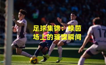 足球集锦:绿茵场上的璀璨瞬间
