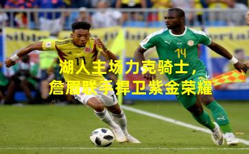 湖人主场力克骑士,詹眉联手捍卫紫金荣耀