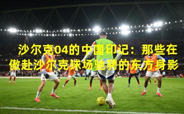 沙尔克04的中国印记:那些在傲赴沙尔克球场驰骋的东方身影