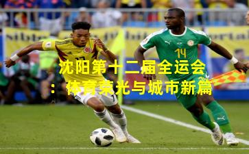 沈阳第十二届全运会:体育荣光与城市新篇