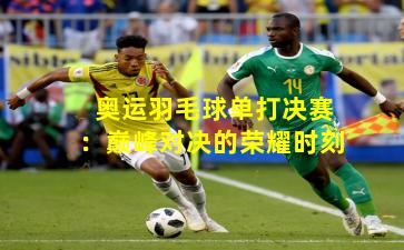 奥运羽毛球单打决赛：巅峰对决的荣耀时刻