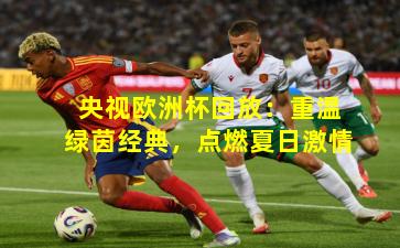 央视欧洲杯回放:重温绿茵经典,点燃夏日激情