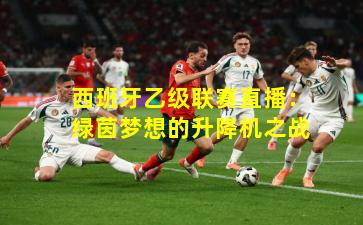 西班牙乙级联赛直播：绿茵梦想的升降机之战