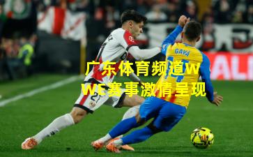 广东体育频道WWE赛事激情呈现